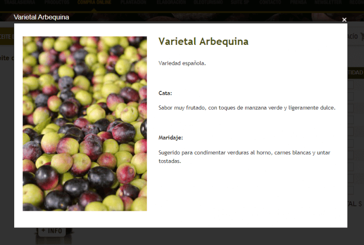 Olive Oil and Oleotourism