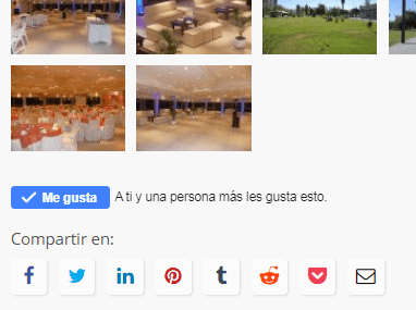 Social Networks